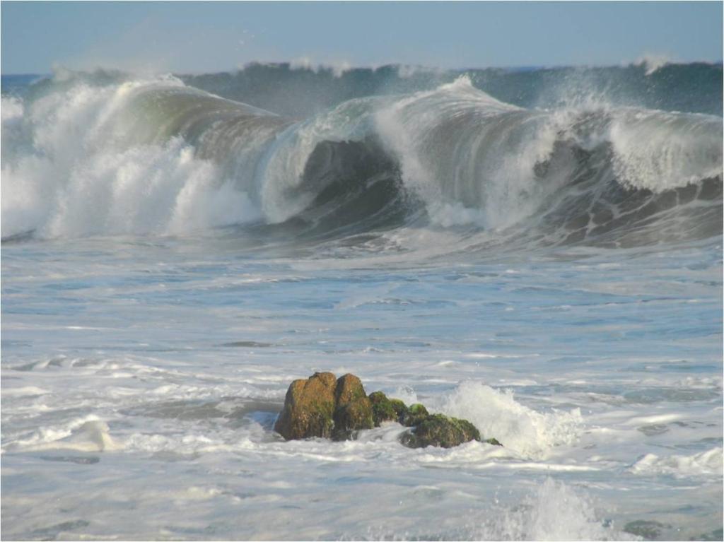 מלון Puerto Ángel Angel Del Mar מראה חיצוני תמונה